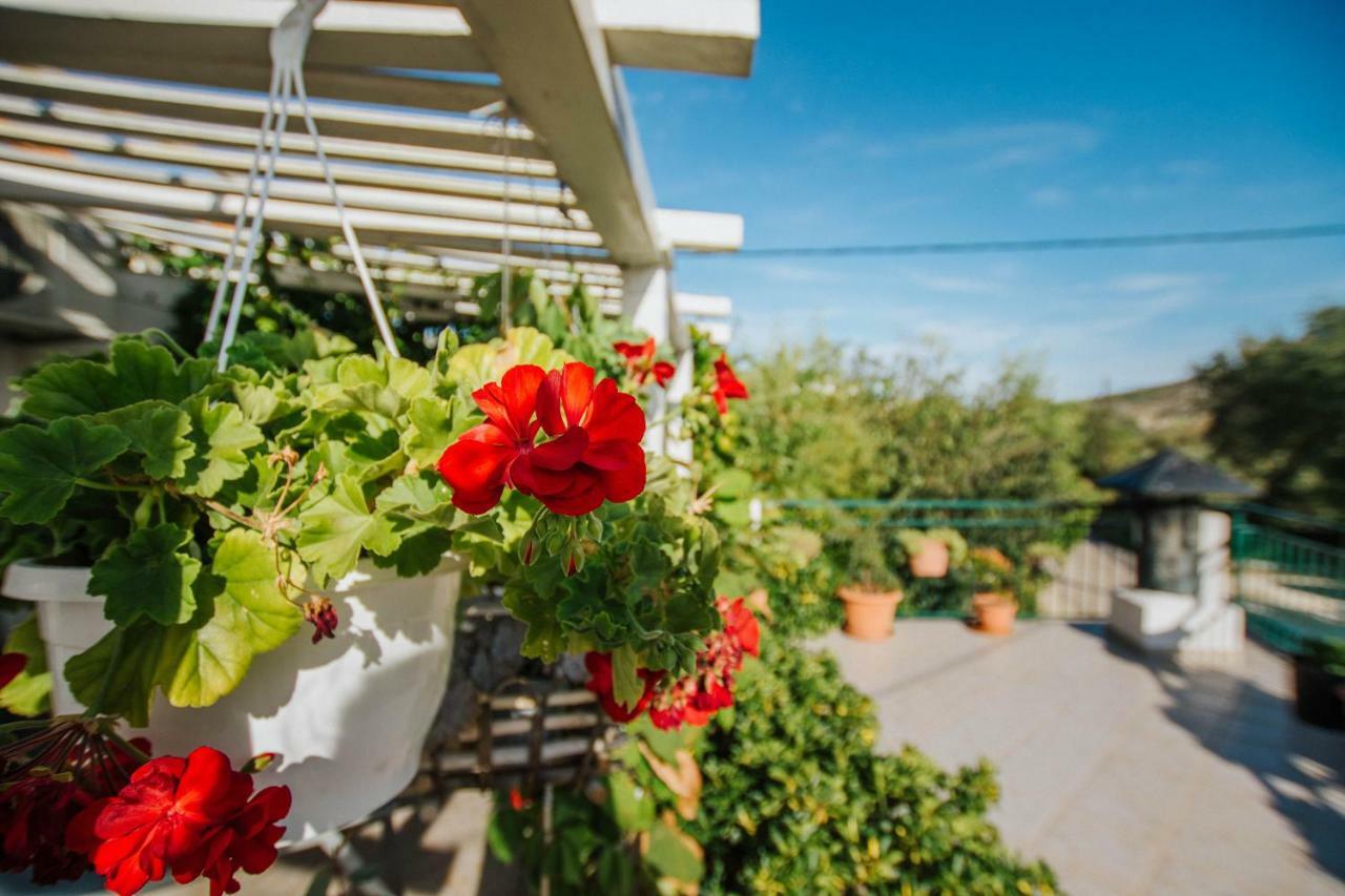 Country House Rusula Vrsine Екстериор снимка
